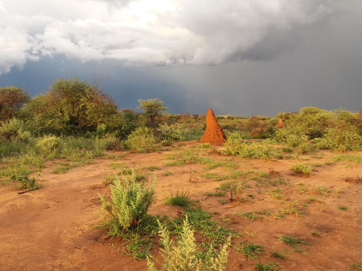 أوتجيوارونغو Lion'S Den Guesthouse المظهر الخارجي الصورة