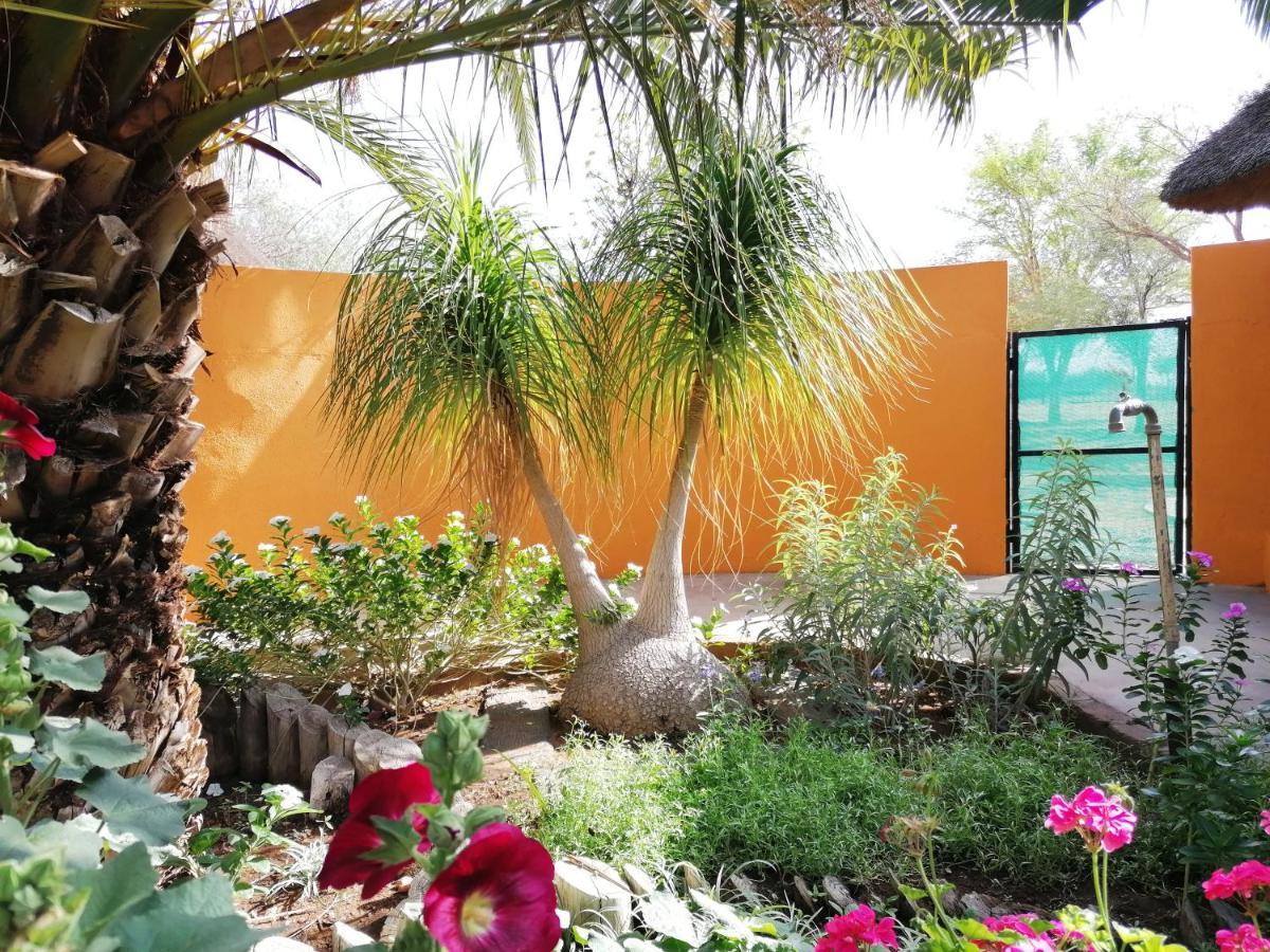 أوتجيوارونغو Lion'S Den Guesthouse المظهر الخارجي الصورة