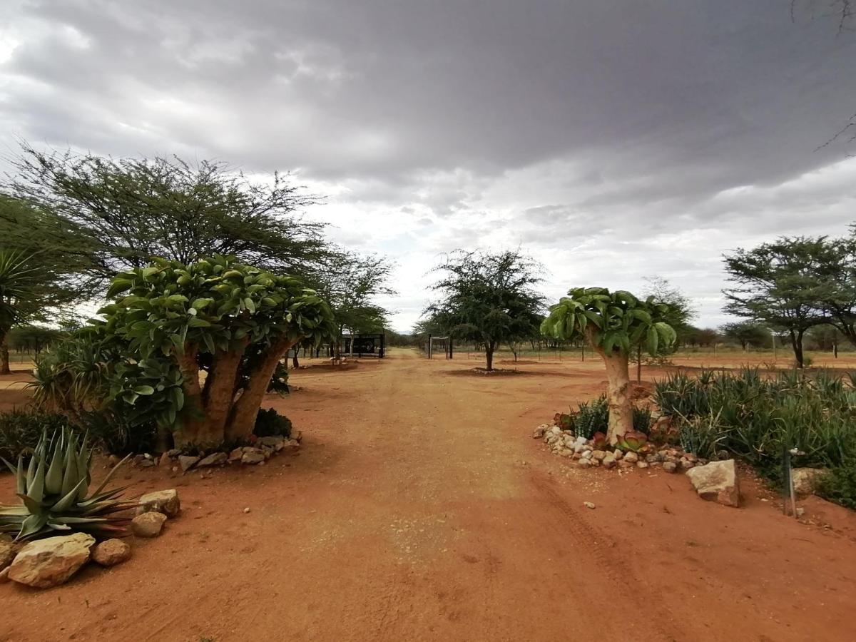 أوتجيوارونغو Lion'S Den Guesthouse المظهر الخارجي الصورة