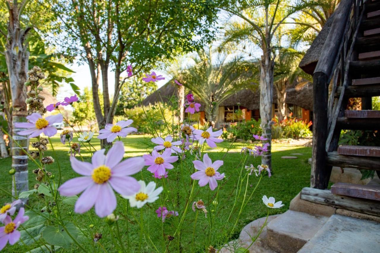 أوتجيوارونغو Lion'S Den Guesthouse المظهر الخارجي الصورة