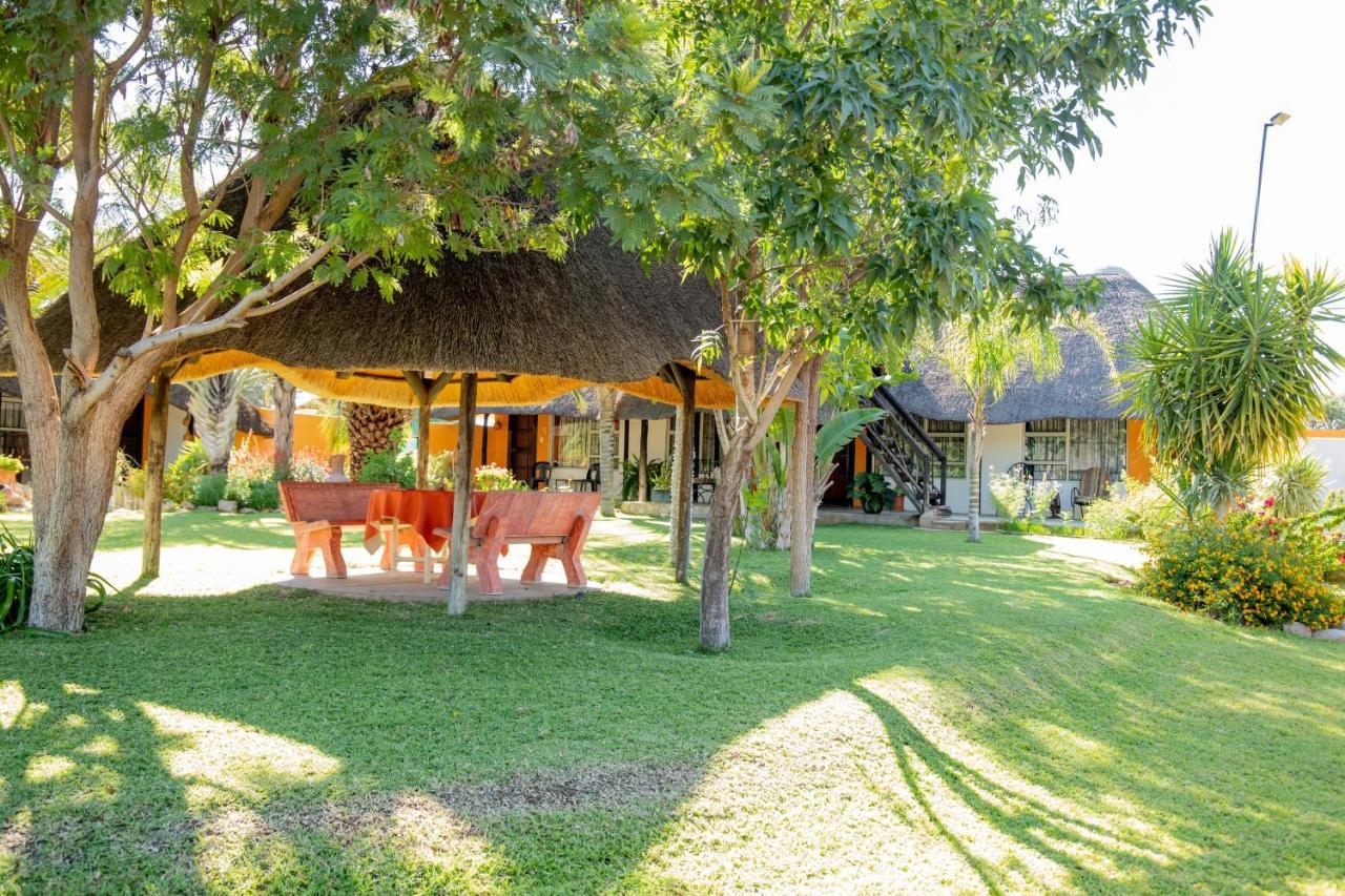 أوتجيوارونغو Lion'S Den Guesthouse المظهر الخارجي الصورة